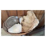 BASKET OF LARGE SHELLS