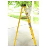 Werner 6Ft Ladder