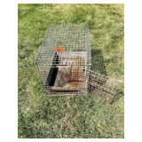 Metal Animal Crate