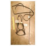 English Yearling Show Halter