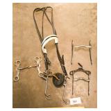 Halter & some bits