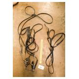 Halter w/ a bit
