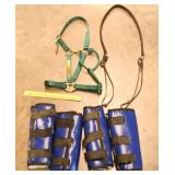 Equestrian related items including a halter (2008
