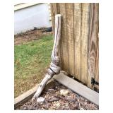 Twisted Log - Located next to Shed