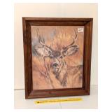Framed Deer Print; approx. 17 1/2 in x 20 1/2 in