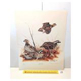Gene Gray "Bob White Quail" print; slight bend
