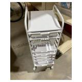 Bin Organizer on Rollers