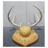 3x3 Deer Antler Mount (Spread 13")