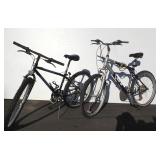 (2) Adult Bikes