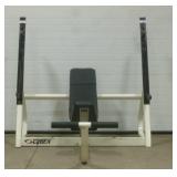 Cybex Incline Bench W/ Adjustable Seat