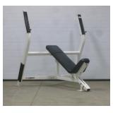 Cybex Incline Bench W/ Adjustable Seat
