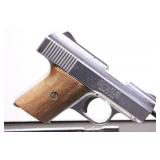 Raven Arms MP 25, .25 Semi Auto Pistol