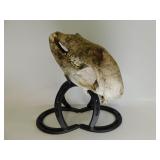 Bear Skull On Horse Shoes Statue