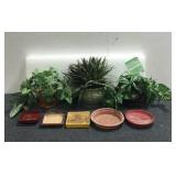 Decorative Potted Plants