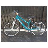 Blue Roadmaster Granite Peaks Mountain Bike