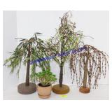 Lot of (3) Primitive Trees and Suculent