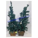 Pair of Holiday Trees 32" with Lights