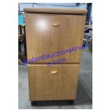 Filing Cabinet on Wheels (30 x 23 x 16)