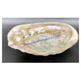 Sea Shell (8")