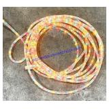 Strand of Multi Colored Rope Lights