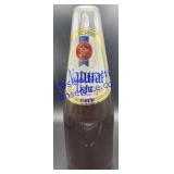 Natural Light Coin Bank