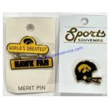 Pair of Hawkeyes Pins