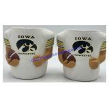 Pair of Foam Hawkeyes Coozies