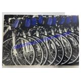 Marathon Bike Line-Up Vinyl Picture 21"x14"