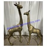 Pair of Large Brass Giraffes (36" & 32")