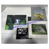 Misc Prints & Cardboard Frames