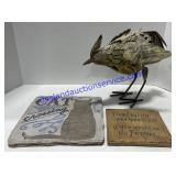 Sterling Stones & Bird Yard Decor