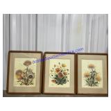 Lot of (3) Matching Flower Prints (19 x 15)