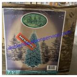 Enchanted Forest 7.5