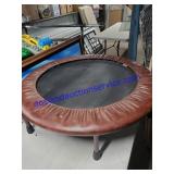 Exercise trampoline