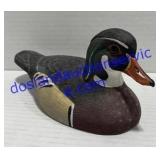 American Wildlife Duck