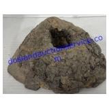 Petrified Wood Piece 10"x8"