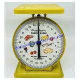 Yellow American Family Scale