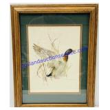 Mallard Print (19 x 15)