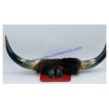 Horn & Hoof Wall Display (17")