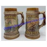 Grand Canyon & Tennessee State Capitol Steins