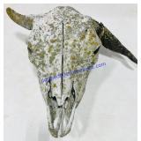 Longhorn Skull