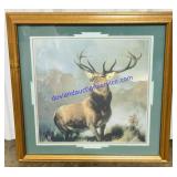 Monarch of the Glen Print (22 x 22)