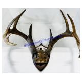 Wooden Plaque Mounted Buck Antlers
