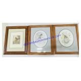 3 Framed Pictures