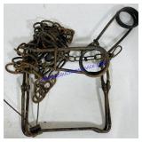 Conibear Trap