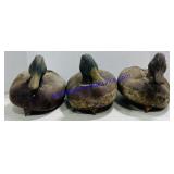 3 Plastic Duck Decoys