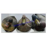 3 Plastic Duck Decoys