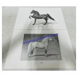 17 Jeanne Mellin Prints. 17ï¿½x11ï¿½