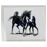 Plastic Horse Print. 16ï¿½x13ï¿½