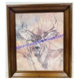 Framed Whitetail Deer Print. 17ï¿½x20ï¿½